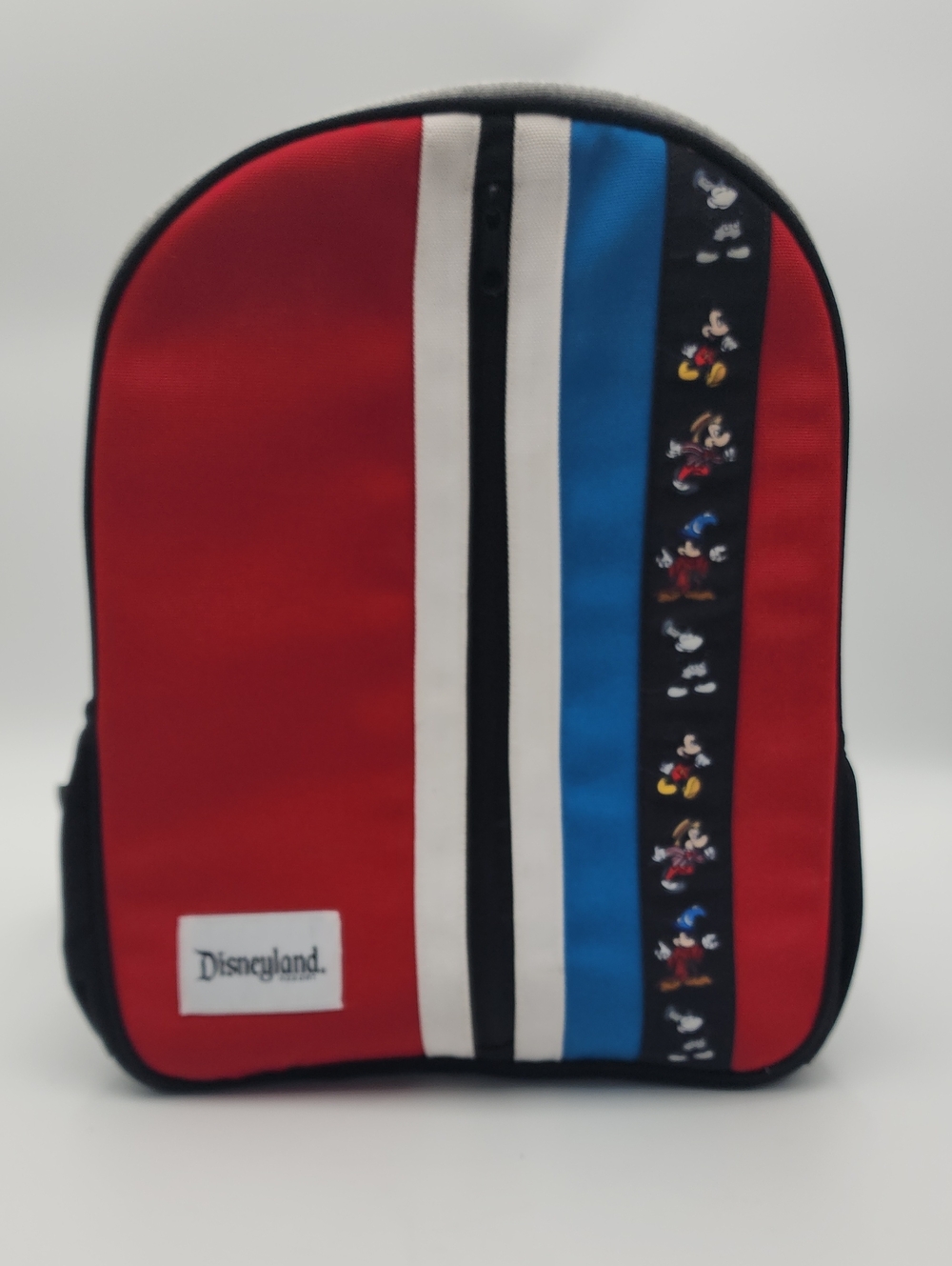 Disney Parks Disneyland Mickey Backpack